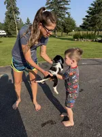 Conway, a male Cavalier King Charles Spaniel for sale in Remer, MN – 10 of 10