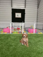 Facility photo