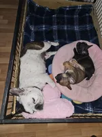 processed/c0bdb9bc-3e71-4f17-b12c-2cf1faddc780/facility/0acdf2c7-1a64-4e9e-8379-30967d1de12d