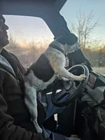 processed/c0bdb9bc-3e71-4f17-b12c-2cf1faddc780/facility/0da248c2-1e04-4c46-ba5f-c7e9eba73d35