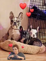 processed/c0bdb9bc-3e71-4f17-b12c-2cf1faddc780/facility/3abe6aa8-def4-4c83-b383-c5dc70948ab3