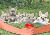 processed/c0bdb9bc-3e71-4f17-b12c-2cf1faddc780/facility/78e0d2ba-7d03-4d56-98b8-ee4213a1b564