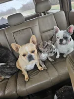 processed/c0bdb9bc-3e71-4f17-b12c-2cf1faddc780/facility/9a71710e-597f-400d-af9d-133f08ea4d51