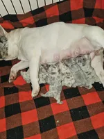 processed/c0bdb9bc-3e71-4f17-b12c-2cf1faddc780/facility/ed633776-c1ad-4f2b-aa7d-98f37b0fe00a