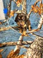 processed/c0c08856-b9f6-4209-a189-8540f2b357e1/listing/e1390967-510c-46ac-9c47-d9e9a9bfb597/367d98a7-6168-423c-994e-36534c3d0511