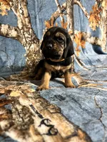 processed/c0c08856-b9f6-4209-a189-8540f2b357e1/listing/e1390967-510c-46ac-9c47-d9e9a9bfb597/76492aa3-e320-46c8-9e9b-f14edc519a24