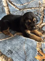 processed/c0c08856-b9f6-4209-a189-8540f2b357e1/listing/e1390967-510c-46ac-9c47-d9e9a9bfb597/95e1295f-2bbe-49db-8b64-f2744d801453