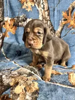 processed/c0c08856-b9f6-4209-a189-8540f2b357e1/listing/e1390967-510c-46ac-9c47-d9e9a9bfb597/ae6aa1c3-9919-47cb-9fb7-dc890ea31ace