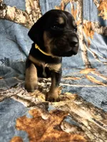 processed/c0c08856-b9f6-4209-a189-8540f2b357e1/listing/e1390967-510c-46ac-9c47-d9e9a9bfb597/c03b7e67-9c6b-45f7-942b-33b27c540198