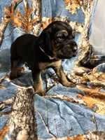 processed/c0c08856-b9f6-4209-a189-8540f2b357e1/listing/e1390967-510c-46ac-9c47-d9e9a9bfb597/cb9ff827-b71e-4768-9f14-0d83f0a15a2a