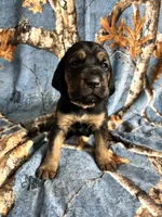 processed/c0c08856-b9f6-4209-a189-8540f2b357e1/listing/e1390967-510c-46ac-9c47-d9e9a9bfb597/d4882da9-3012-4e78-a22e-de9d36839481