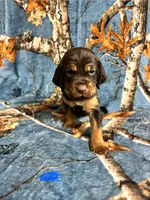 processed/c0c08856-b9f6-4209-a189-8540f2b357e1/listing/e1390967-510c-46ac-9c47-d9e9a9bfb597/dc8ca272-4cf5-490c-a00d-49730faf0198