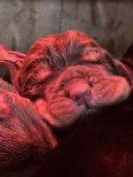 processed/c0c08856-b9f6-4209-a189-8540f2b357e1/listing/e1390967-510c-46ac-9c47-d9e9a9bfb597/e3030f72-841e-4422-bc49-e94b96f63405