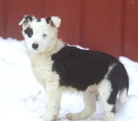 processed/c0c10c46-e98a-45a7-ab93-6a5f2947df88/listing/5277020e-c450-4963-bbeb-f754f9bc93e9/427a442a-bb74-49f1-9044-57202c878369