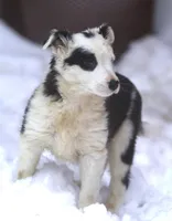 processed/c0c10c46-e98a-45a7-ab93-6a5f2947df88/listing/5277020e-c450-4963-bbeb-f754f9bc93e9/4fb3535d-1197-4173-982c-ade290730243