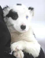 processed/c0c10c46-e98a-45a7-ab93-6a5f2947df88/listing/5277020e-c450-4963-bbeb-f754f9bc93e9/74fff988-2690-4c0b-ba1c-3168675f287f