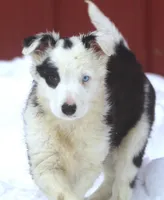 processed/c0c10c46-e98a-45a7-ab93-6a5f2947df88/listing/5277020e-c450-4963-bbeb-f754f9bc93e9/a6dc0651-46f4-4c9e-9721-06bc5022e27f