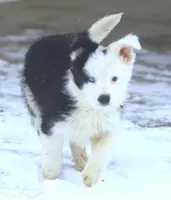 processed/c0c10c46-e98a-45a7-ab93-6a5f2947df88/listing/aa07e087-9167-4168-bb40-7a92c8558136/65bd082b-a89e-415f-a47c-ca46891dfe63