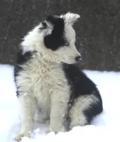 processed/c0c10c46-e98a-45a7-ab93-6a5f2947df88/listing/aa07e087-9167-4168-bb40-7a92c8558136/7e5f32e3-6b45-4469-a43b-148511f07f2b