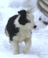 processed/c0c10c46-e98a-45a7-ab93-6a5f2947df88/listing/aa07e087-9167-4168-bb40-7a92c8558136/df51511d-925e-4541-83fe-028a2a9d6f18