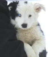 processed/c0c10c46-e98a-45a7-ab93-6a5f2947df88/listing/aa07e087-9167-4168-bb40-7a92c8558136/e2921324-f779-40f6-bc50-188918d2ef54