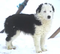 processed/c0c10c46-e98a-45a7-ab93-6a5f2947df88/listing/ec01393d-0725-4227-a5f9-728d8b59e471/24f1d6ca-89ce-4a2f-9222-8d1e4a70252e