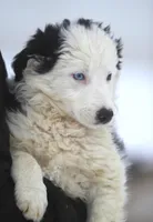 processed/c0c10c46-e98a-45a7-ab93-6a5f2947df88/listing/ec01393d-0725-4227-a5f9-728d8b59e471/77936441-8aea-46b1-9f85-92bd0e606365