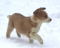 processed/c0c10c46-e98a-45a7-ab93-6a5f2947df88/listing/fd3eae05-7fb6-404b-b5ae-77fb979cf468/029cbe84-bd31-4ac7-a590-033089bdd481