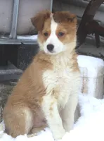 processed/c0c10c46-e98a-45a7-ab93-6a5f2947df88/listing/fd3eae05-7fb6-404b-b5ae-77fb979cf468/15bbeac7-de89-4121-b0c1-064d3a8446fc