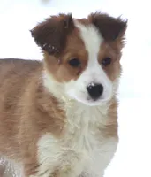 processed/c0c10c46-e98a-45a7-ab93-6a5f2947df88/listing/fd3eae05-7fb6-404b-b5ae-77fb979cf468/b578a9d4-7049-4ba0-bbee-66605cba4d4c