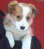 processed/c0c10c46-e98a-45a7-ab93-6a5f2947df88/listing/fd3eae05-7fb6-404b-b5ae-77fb979cf468/d6468d00-1deb-49e6-a349-a75c5410e574