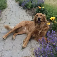 processed/c0c9d179-3f0f-46e6-ac72-1b3cf52d9b2c/facility/08868e32-0592-4c18-bd8f-4154f4f12fbe