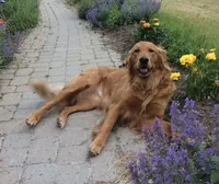 processed/c0c9d179-3f0f-46e6-ac72-1b3cf52d9b2c/facility/08868e32-0592-4c18-bd8f-4154f4f12fbe