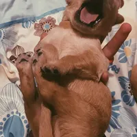 processed/c0c9d179-3f0f-46e6-ac72-1b3cf52d9b2c/facility/0d788ba3-296d-4dd1-9fed-b09c13de6a98