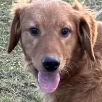 processed/c0c9d179-3f0f-46e6-ac72-1b3cf52d9b2c/facility/2e48488c-1084-4ff2-a7eb-089e3a9539c3