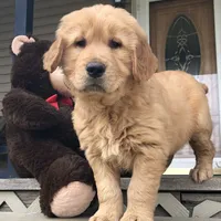 processed/c0c9d179-3f0f-46e6-ac72-1b3cf52d9b2c/facility/34f6b5c1-3d07-4c8a-9b29-f6d0ac29f4c4