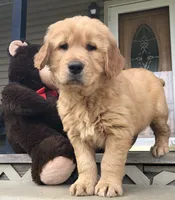 processed/c0c9d179-3f0f-46e6-ac72-1b3cf52d9b2c/facility/34f6b5c1-3d07-4c8a-9b29-f6d0ac29f4c4