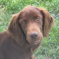 processed/c0c9d179-3f0f-46e6-ac72-1b3cf52d9b2c/facility/5b9491e3-fbb3-4d84-b29e-4febf1f6d115