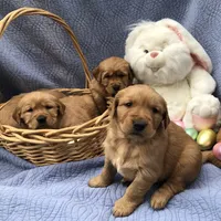 processed/c0c9d179-3f0f-46e6-ac72-1b3cf52d9b2c/facility/62776cff-469b-4c86-9674-b74f3351f0a4