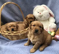 processed/c0c9d179-3f0f-46e6-ac72-1b3cf52d9b2c/facility/62776cff-469b-4c86-9674-b74f3351f0a4