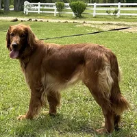 processed/c0c9d179-3f0f-46e6-ac72-1b3cf52d9b2c/facility/821e45aa-c063-4985-83fd-0c9189c4814b