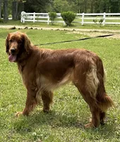 processed/c0c9d179-3f0f-46e6-ac72-1b3cf52d9b2c/facility/821e45aa-c063-4985-83fd-0c9189c4814b