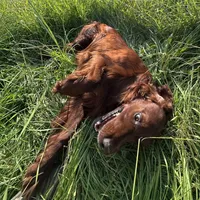 processed/c0c9d179-3f0f-46e6-ac72-1b3cf52d9b2c/facility/b65100c2-d399-435d-8f92-95360eec7b49