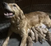 processed/c0c9d179-3f0f-46e6-ac72-1b3cf52d9b2c/facility/c0fe837d-6783-427b-aced-68c5f6b4e37d