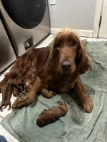 processed/c0c9d179-3f0f-46e6-ac72-1b3cf52d9b2c/listing/ac1c1205-c268-4eb0-8c7a-acc33edea388/a9a75ac5-43ea-4c59-abf8-72437708cdf7