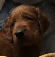 processed/c0c9d179-3f0f-46e6-ac72-1b3cf52d9b2c/listing/ac1c1205-c268-4eb0-8c7a-acc33edea388/c54683c9-841c-4c13-843c-962de08278ff