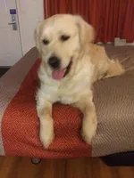 processed/c0c9d179-3f0f-46e6-ac72-1b3cf52d9b2c/listing/ad1f9c16-006c-44e5-8299-8b4e6fa11442/14926817-6939-4cfb-b793-18242cd62cf1