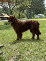 processed/c0c9d179-3f0f-46e6-ac72-1b3cf52d9b2c/listing/f9e5b25d-4d96-4507-a57a-4da1817dd5f4/1f4b6a3b-baa8-4bac-9ae9-f10811ea9f97