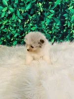 processed/c0cb5327-cd9a-453e-94dc-01e01edf2111/listing/e9ae1a6c-8074-4dc9-8cfa-c878452753a0/5aad5d1c-4021-4bbb-8436-80be5c6501af