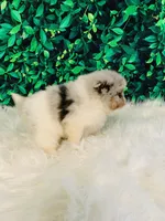 processed/c0cb5327-cd9a-453e-94dc-01e01edf2111/listing/e9ae1a6c-8074-4dc9-8cfa-c878452753a0/6177aacc-2c3b-4a52-89cf-8a148285a765